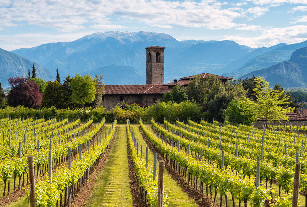 Franciacorta: terra di vino nel cuore della Lombardia