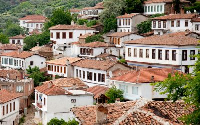 Nascono le Green Communities sostenibili per proteggere la biodiversità