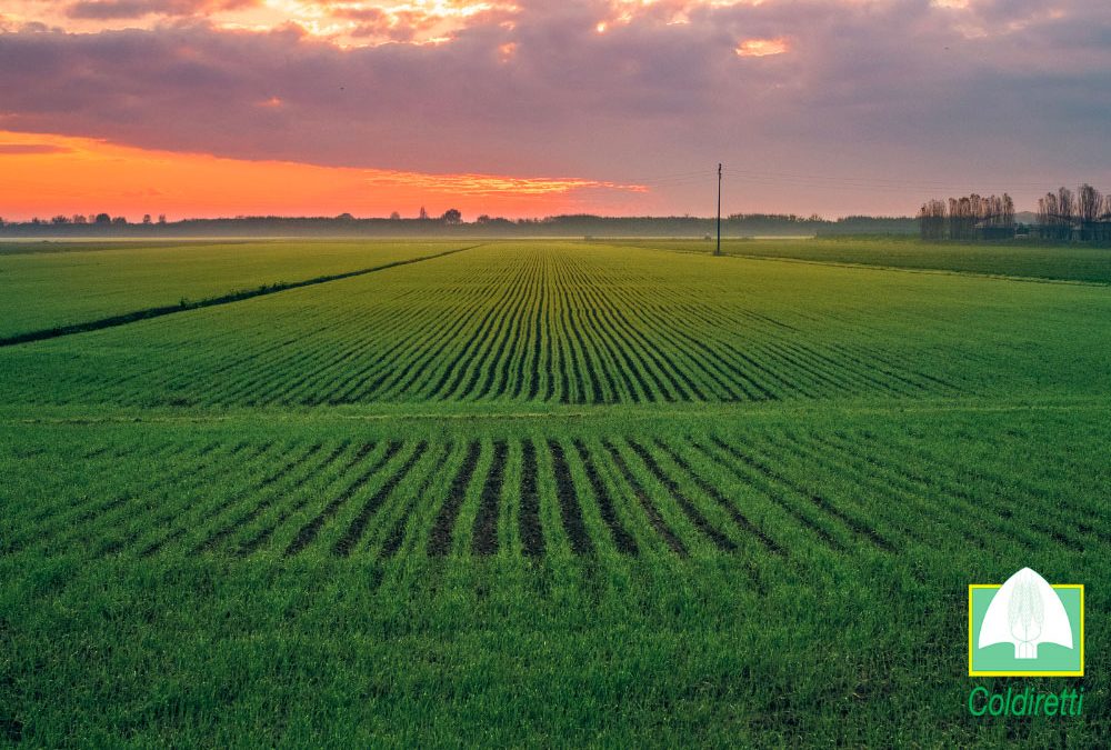 Il settore agricolo tra carenza d’acqua e nuove pratiche virtuose