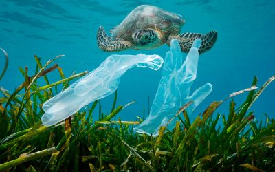 Un mare di plastica