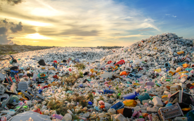 I numeri sulla plastica nel Mondo
