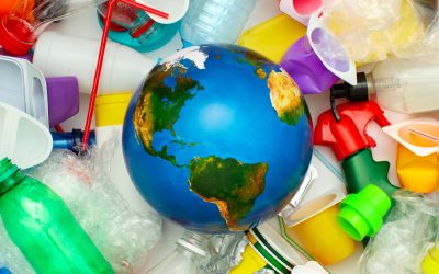 Agire nel presente per un futuro sostenibile: l’impegno per un mondo più verde e rigenerativo