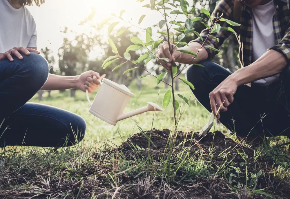 Un altro domani è possibile: pratiche concrete tra “Italia che cambia” e il documentario Domani
