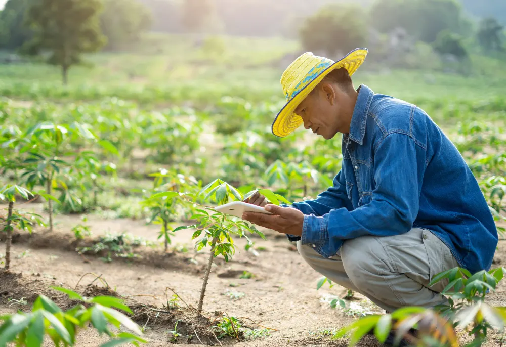 L’ICT come strumento di cooperazione L’ICT come strumento di cooperazione