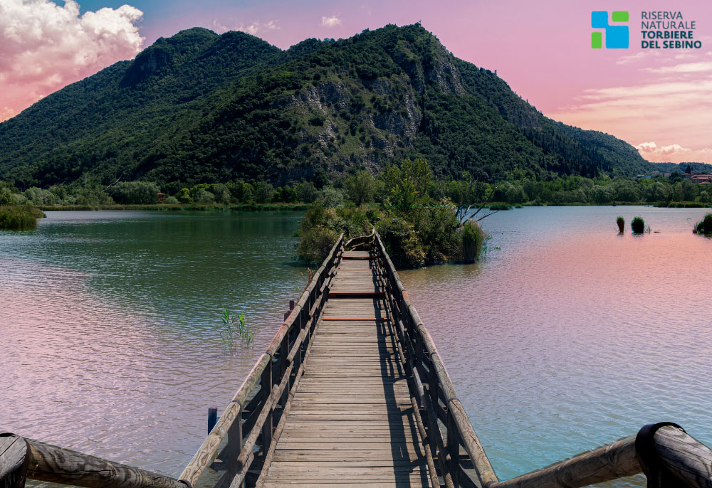 news-dellatorre-evidenza-01