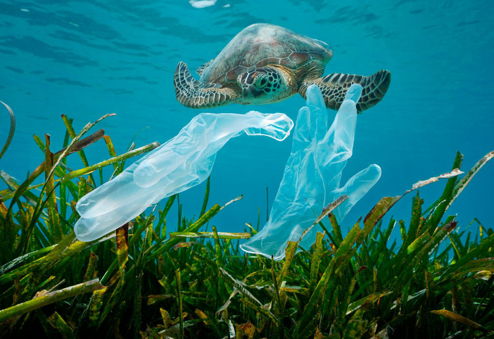 news-mare_di_plastica-evidenza-02